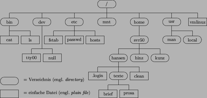 \begin{figure}\begin{center}
\begin{picture}(164,77)
\put(75,70){\put(7,3){\oval...
...e {= Verzeichnis (engl.&nbsp;{\it directory})}}
\end{picture}\end{center}\end{figure}